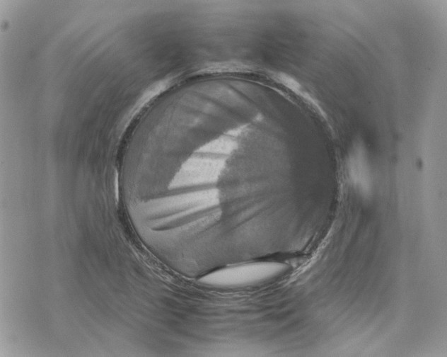 X0000075381221200609291542