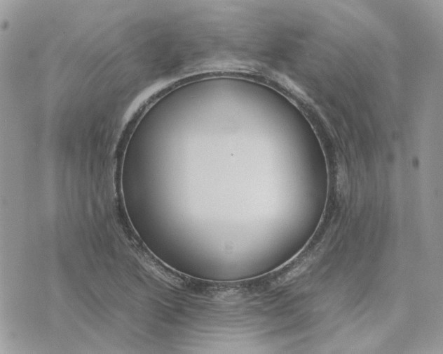 X0000075381222200609291542