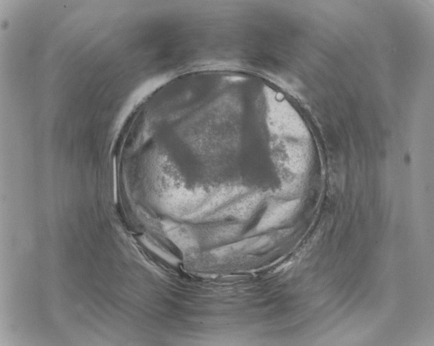 X0000075381223200609291543