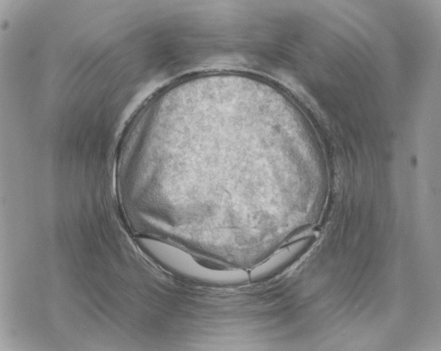 X0000075381224200609291543