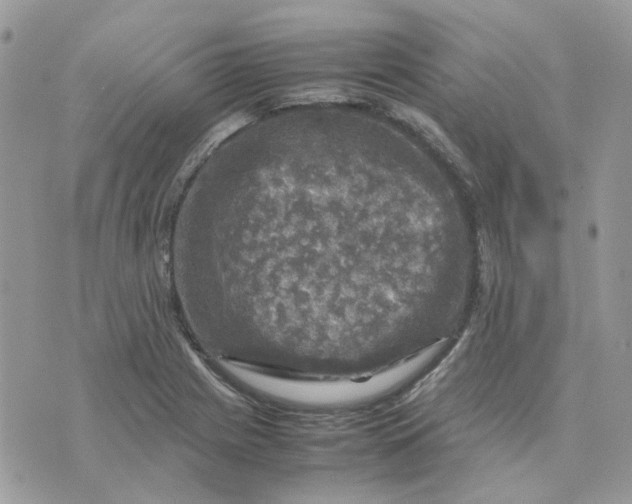 X0000075381225200609291543