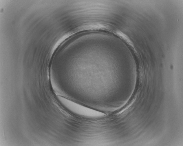 X0000075381226200609291543