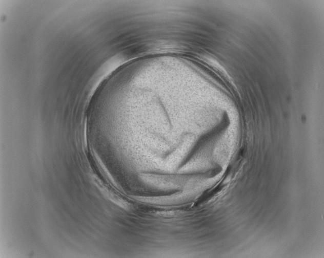 X0000075381227200609291543