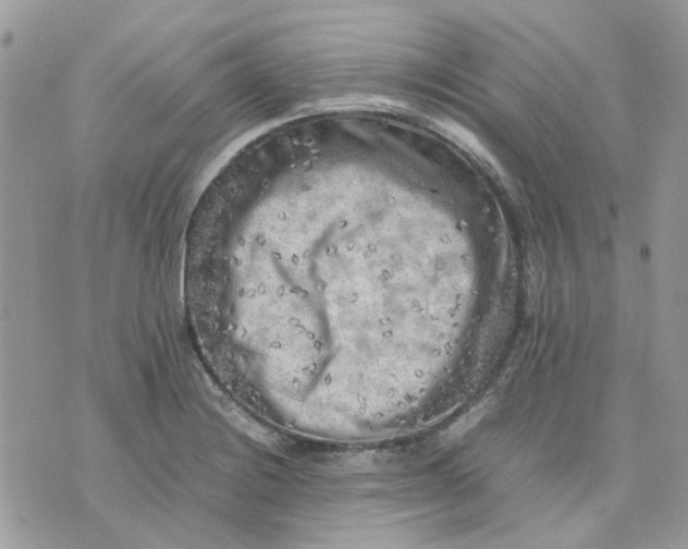 X0000075381228200609291543