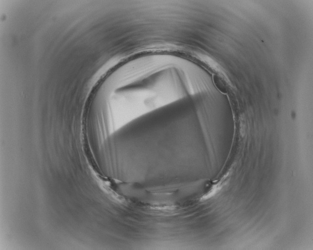 X0000075381229200609291543