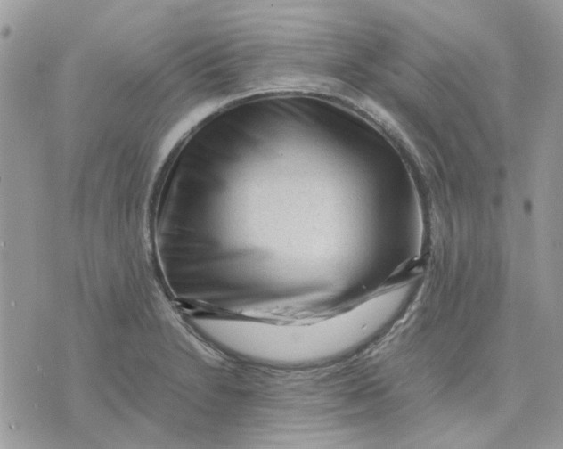 X0000075381230200609291543