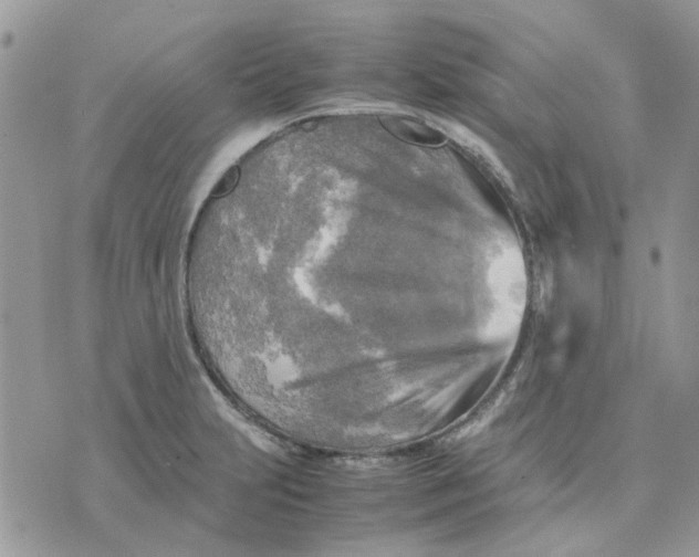 X0000075381231200609291543