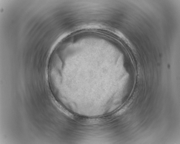 X0000075381232200609291543