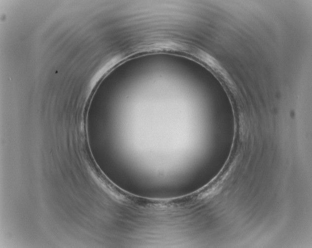 X0000075381234200609291543