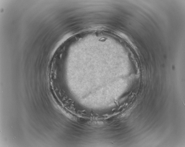 X0000075381235200609291543