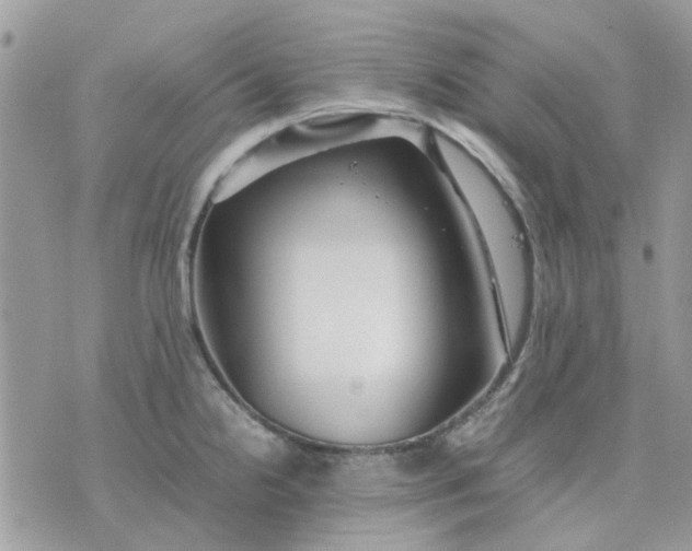 X0000075381238200609291543