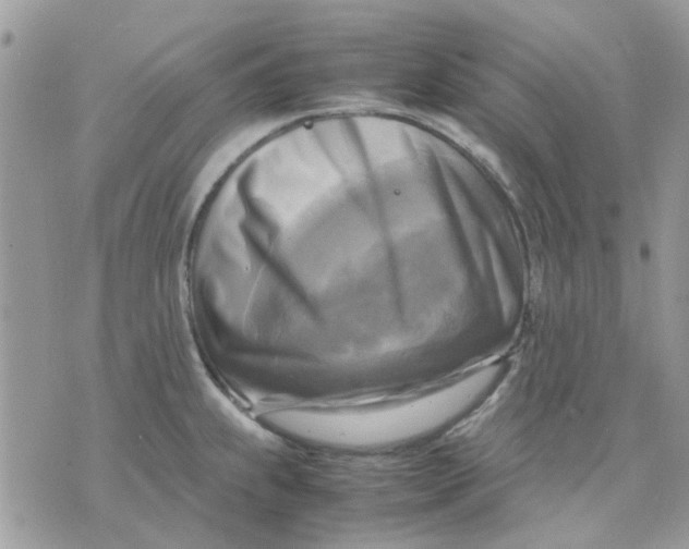 X0000075381239200609291543