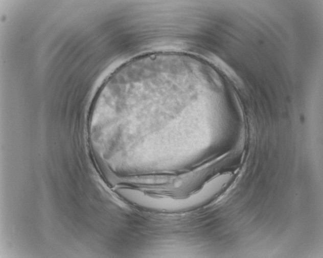 X0000075381240200609291543