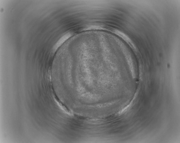 X0000075381241200609291543