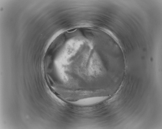 X0000075381243200609291543