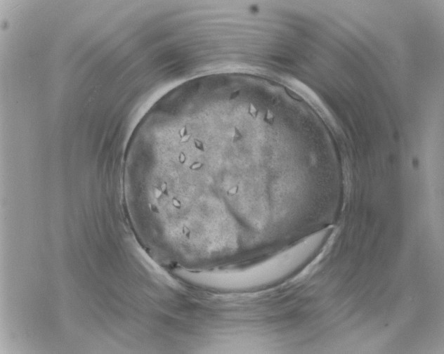 X0000075381244200609291543