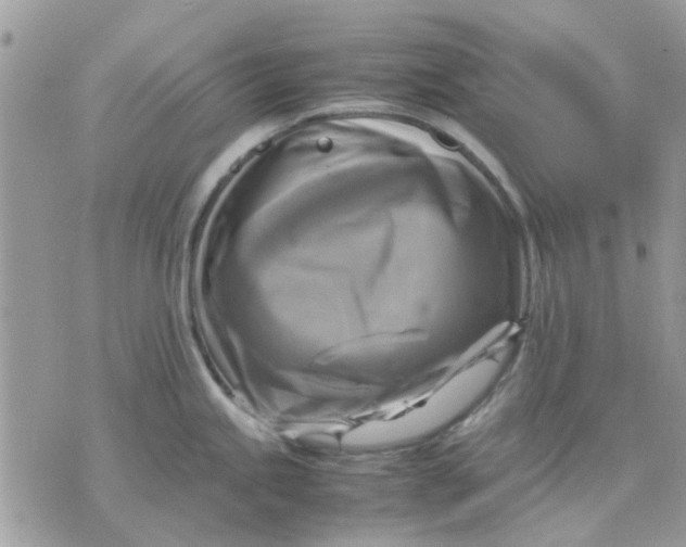 X0000075381245200609291543