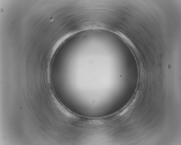 X0000075381246200609291543