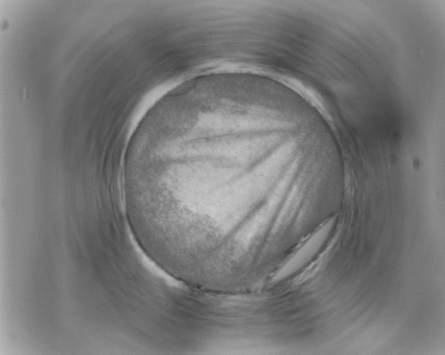 X0000075381247200609291543