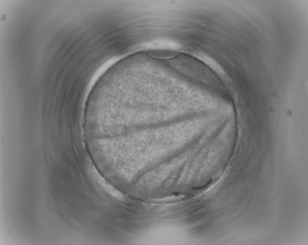 X0000075381248200609291543