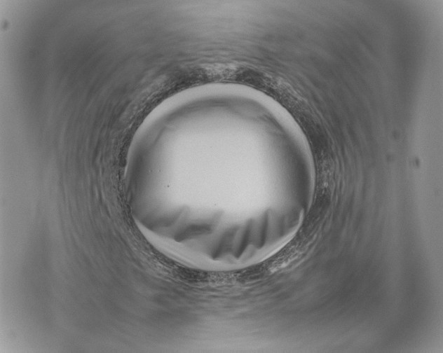 X0000075381249200609291542