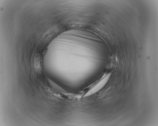 X0000075381250200609291542