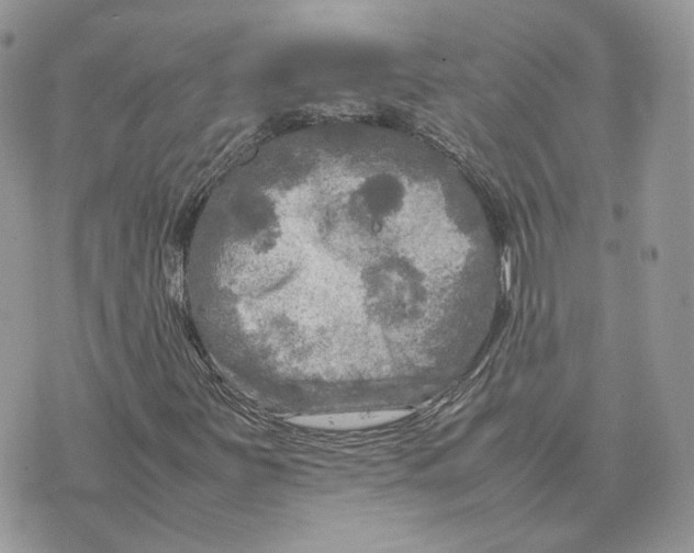 X0000075381251200609291542