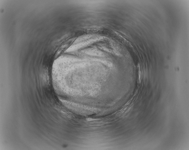 X0000075381252200609291542