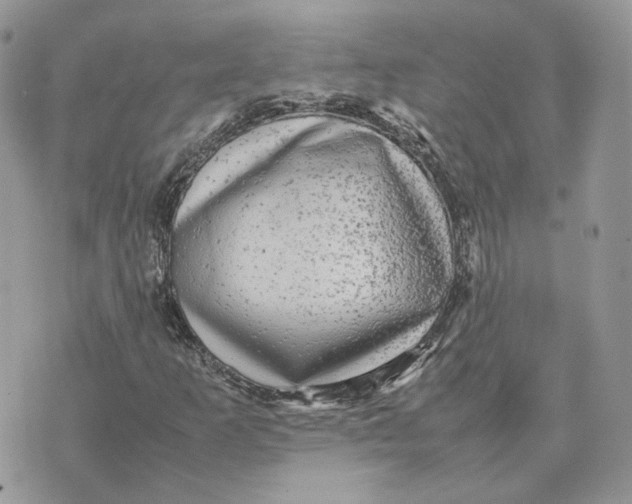 X0000075381253200609291542