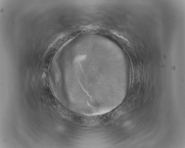 X0000075381254200609291542