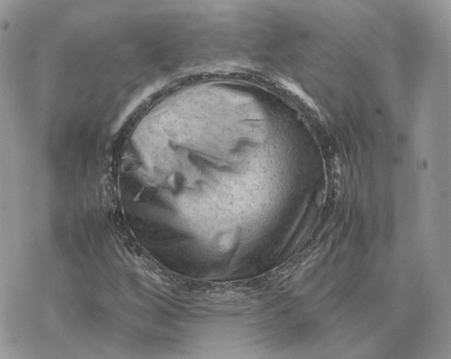 X0000075381256200609291542