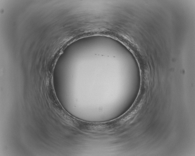 X0000075381257200609291542