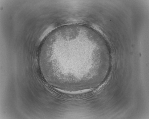 X0000075381259200609291542