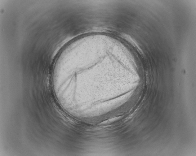 X0000075381260200609291542