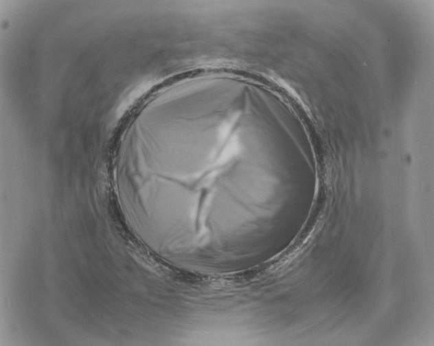 X0000075381263200609291542