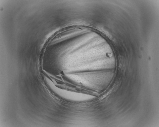 X0000075381264200609291542