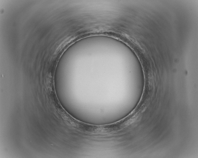 X0000075381265200609291542