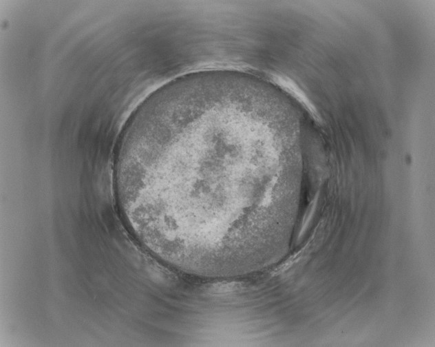 X0000075381268200609291542