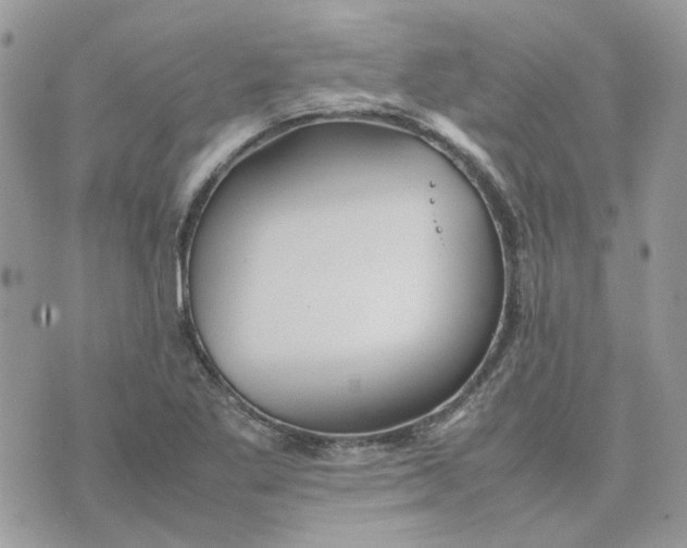 X0000075381269200609291542