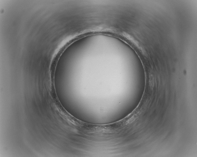 X0000075381270200609291542