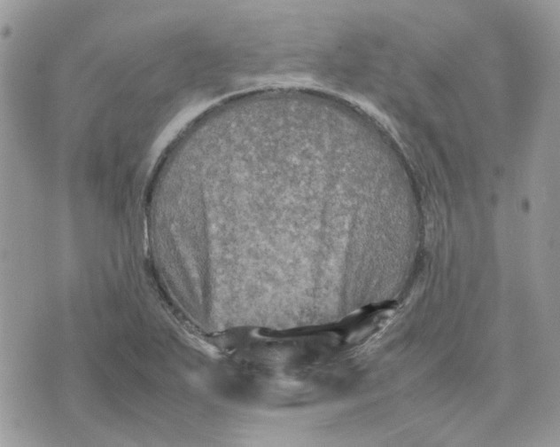 X0000075381271200609291542