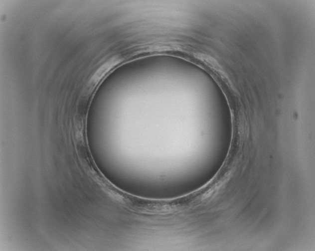 X0000075381273200609291542