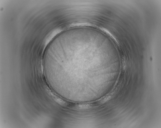 X0000075381274200609291542