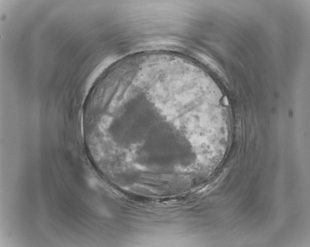 X0000075381275200609291542