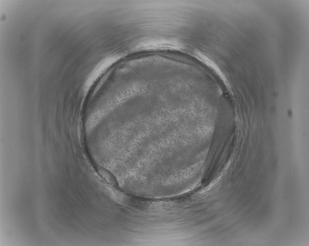 X0000075381277200609291542