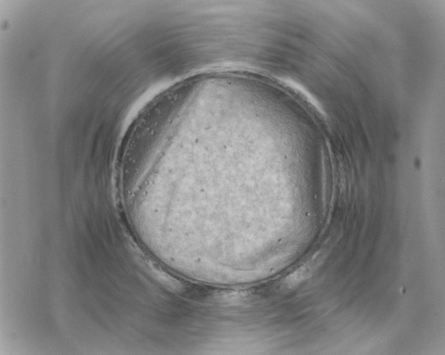 X0000075381278200609291542