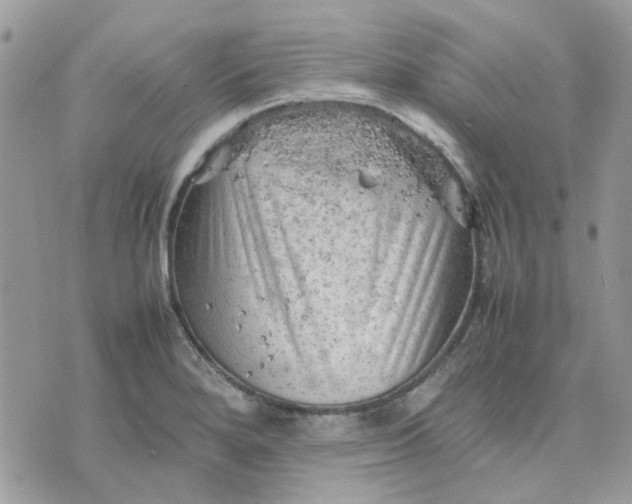 X0000075381280200609291542