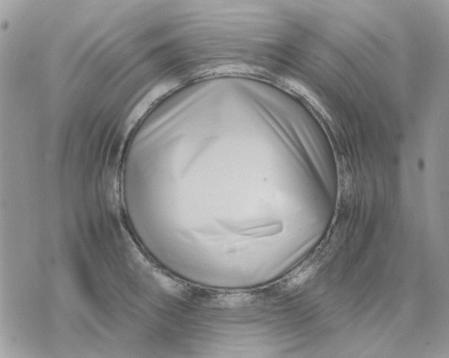 X0000075381282200609291542