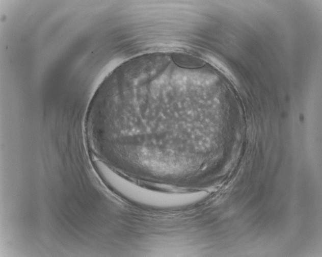 X0000075381283200609291542