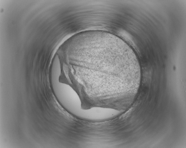 X0000075381284200609291542